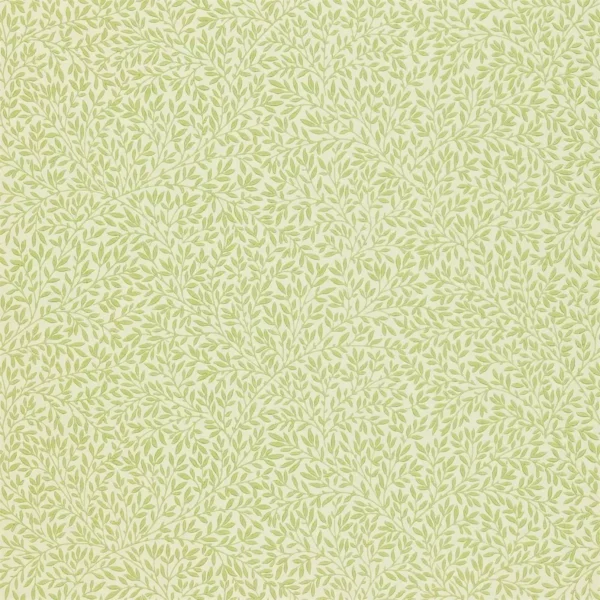 Standen Wallpaper - Fennel by green botanical wallpaper from william morris & co