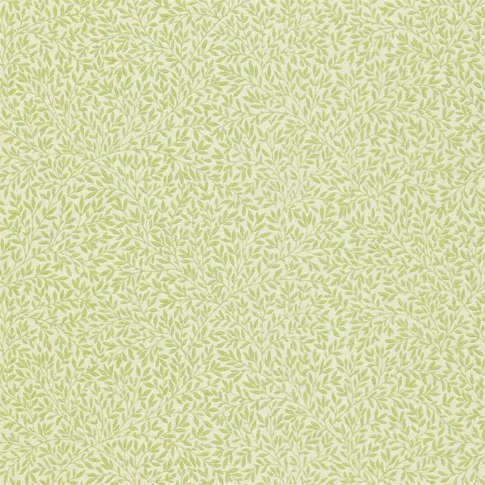 Standen Wallpaper - Fennel swatch