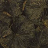 black-grey botanical wallpaper from zoffany