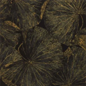 black-grey botanical wallpaper from zoffany