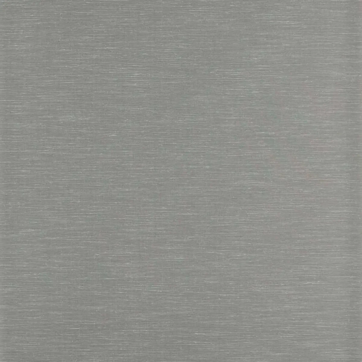 Rushes Wallpaper - Silver Birch by #N/A