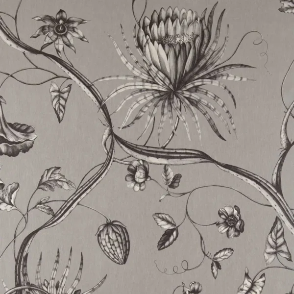Phaedra Wallpaper - Silver by black-grey botanical wallpaper from zoffany