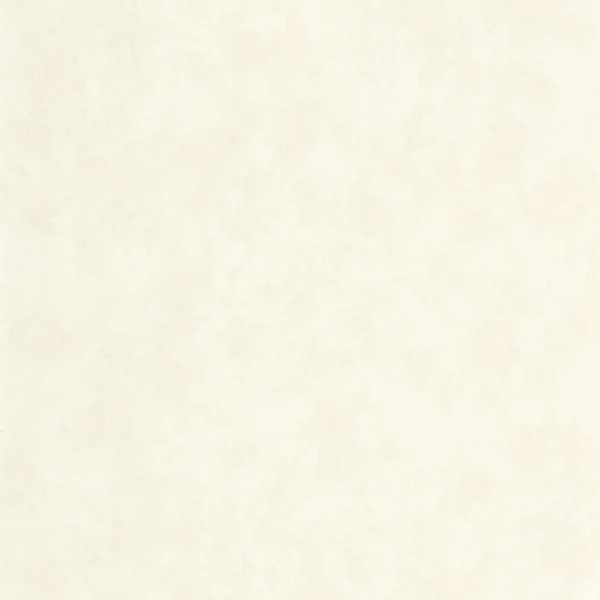 Vallauris Wallpaper - Creme by white plain wallpaper from casadeco