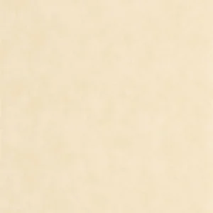 neutral plain wallpaper from casadeco