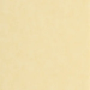 yellow plain wallpaper from casadeco