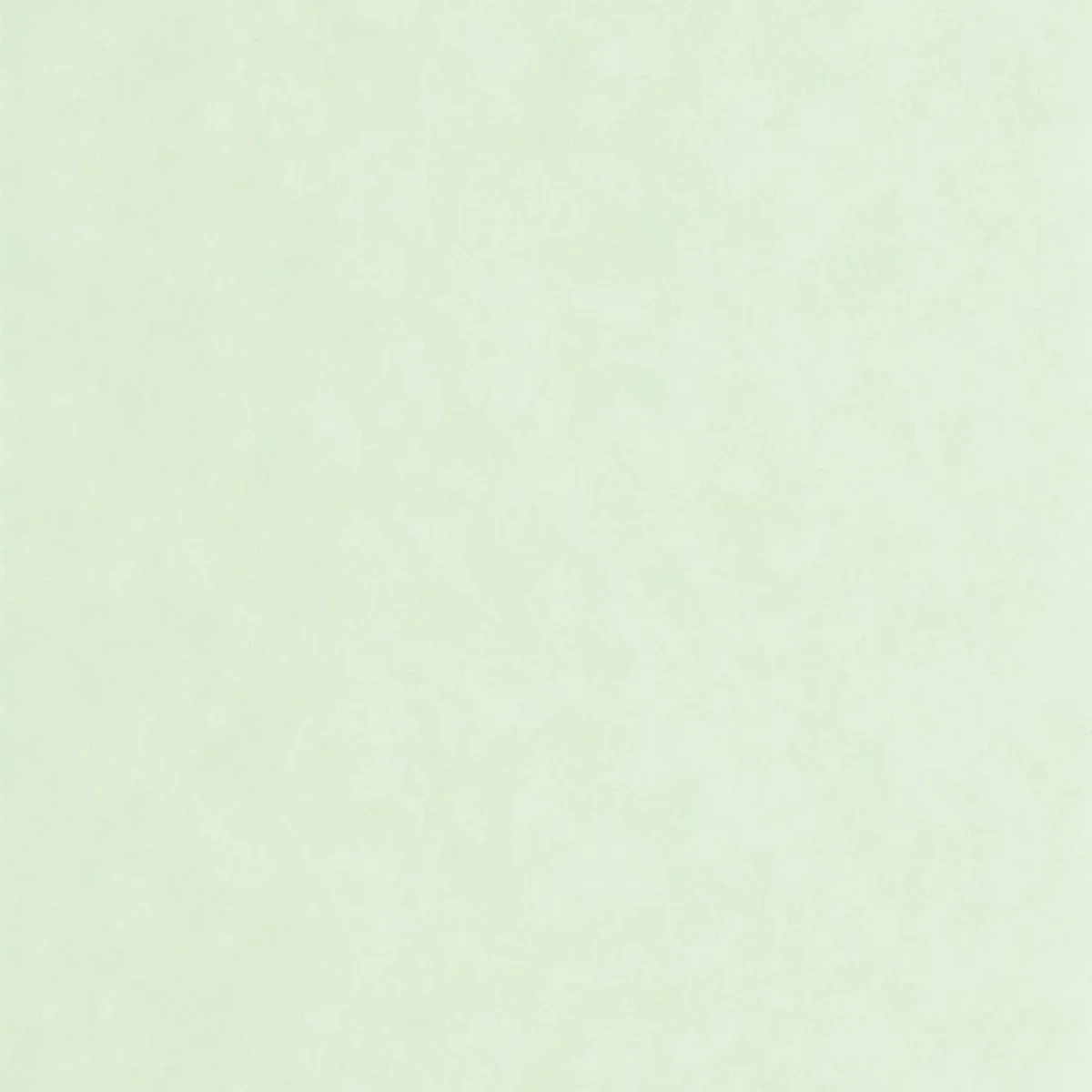 green plain wallpaper from casadeco