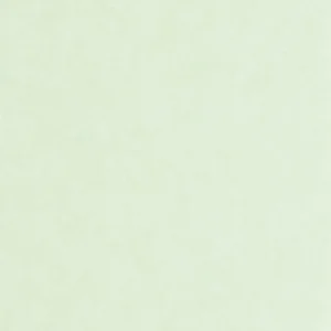 green plain wallpaper from casadeco