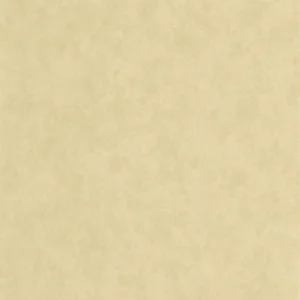 green plain wallpaper from casadeco