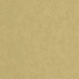 green plain wallpaper from casadeco