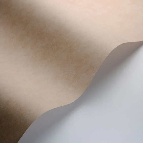 Vallauris Wallpaper - Cafe Latte by neutral plain wallpaper