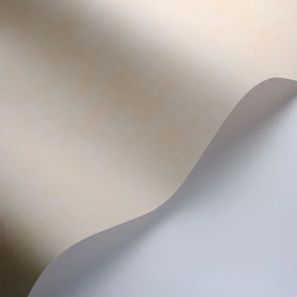 Vallauris Wallpaper - Sable by neutral plain wallpaper