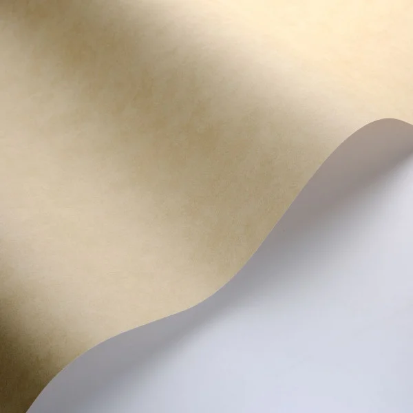 Vallauris Wallpaper - Argile by green plain wallpaper