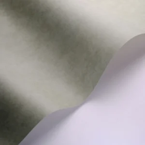 green plain wallpaper