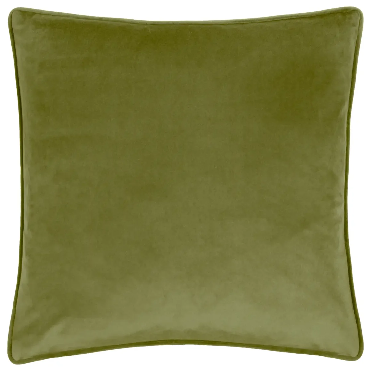 Braywick Orville 43cm Cushion - Bee by Braywick Orville 43cm Cushion - Bee from