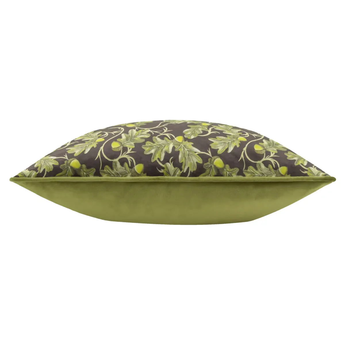 Braywick Orville 43cm Cushion - Bee by Braywick Orville 43cm Cushion - Bee from