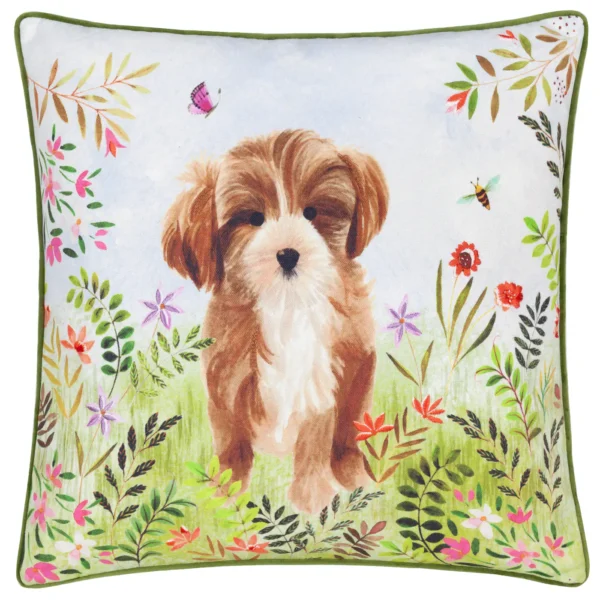 Daisy Hill Charlie 45Cm Cushion - Multi / Green by Daisy Hill Charlie 45Cm Cushion - Multi / Green from
