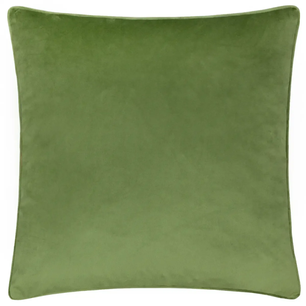 Daisy Hill Charlie 45Cm Cushion - Multi / Green by Daisy Hill Charlie 45Cm Cushion - Multi / Green from