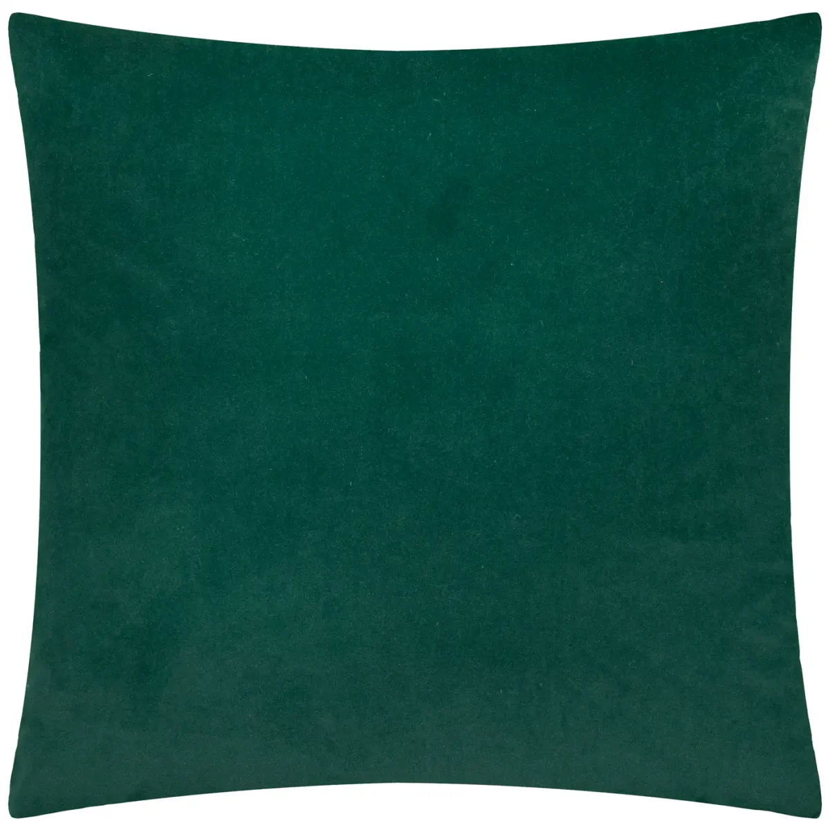 Evoke Cut Velvet 55cm Cushion - Emerald by Evoke Cut Velvet 55cm Cushion - Emerald from