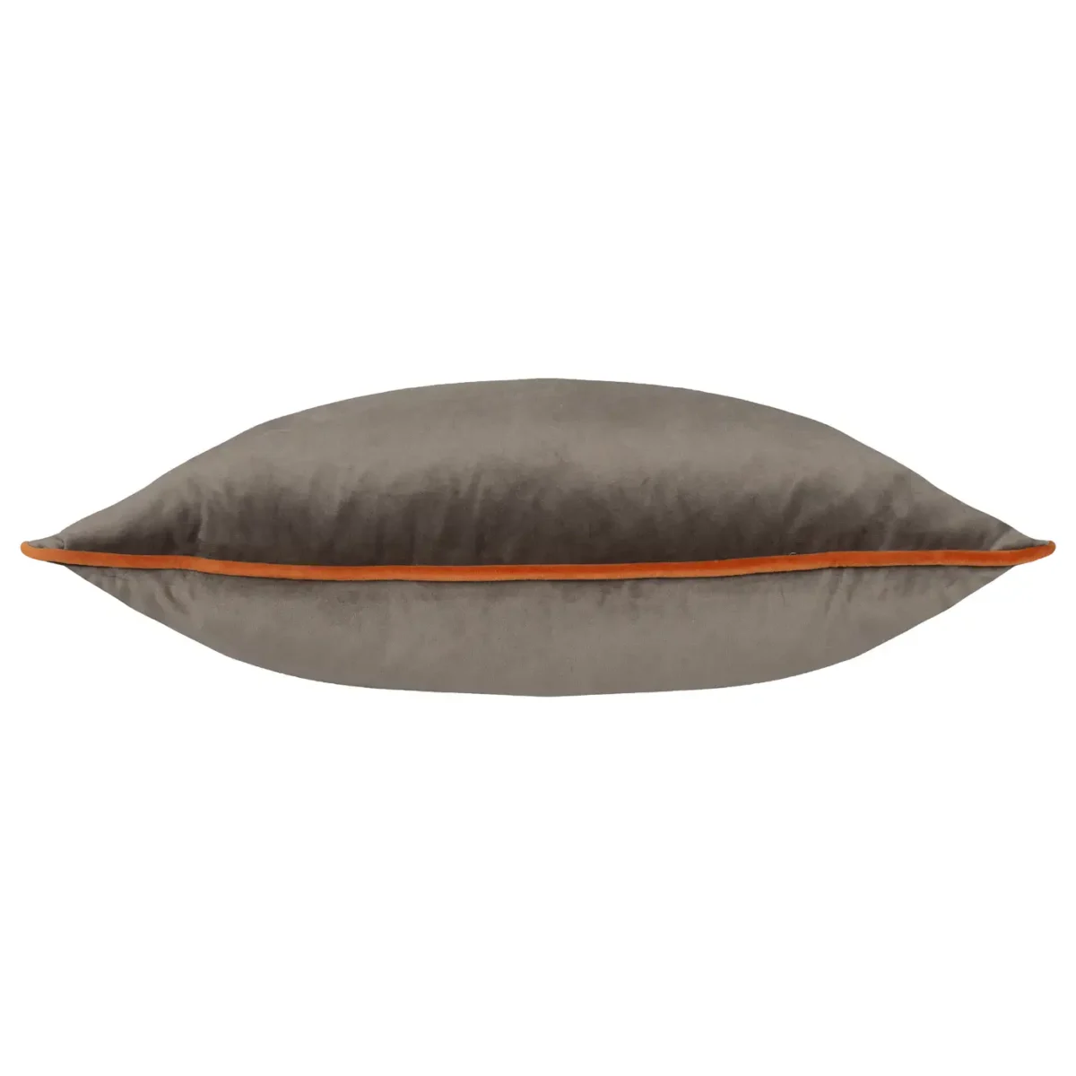 Meridian 55Cm Cushion - Mocha / Pumpkin by Meridian 55Cm Cushion - Mocha / Pumpkin from