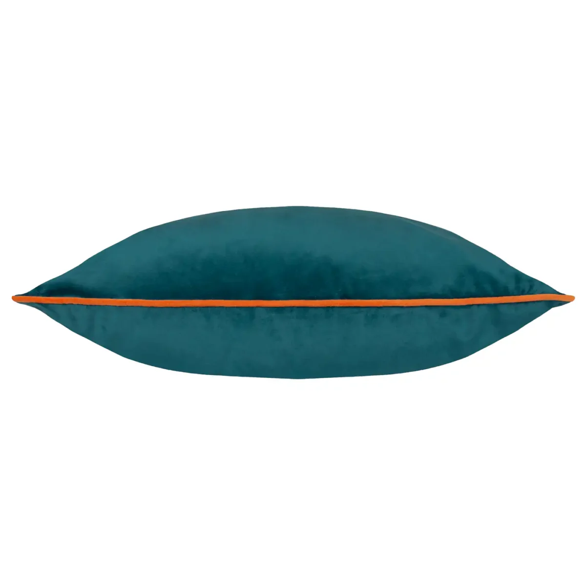 Meridian 55Cm Cushion - Teal / Tiger by Meridian 55Cm Cushion - Teal / Tiger from
