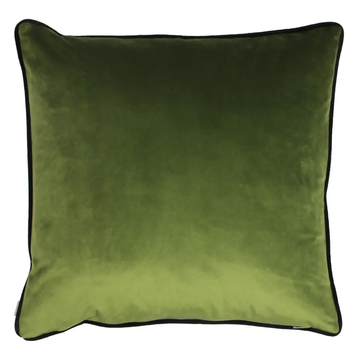 Midnight Garden Bee 43cm Cushion - Black by Midnight Garden Bee 43cm Cushion - Black from