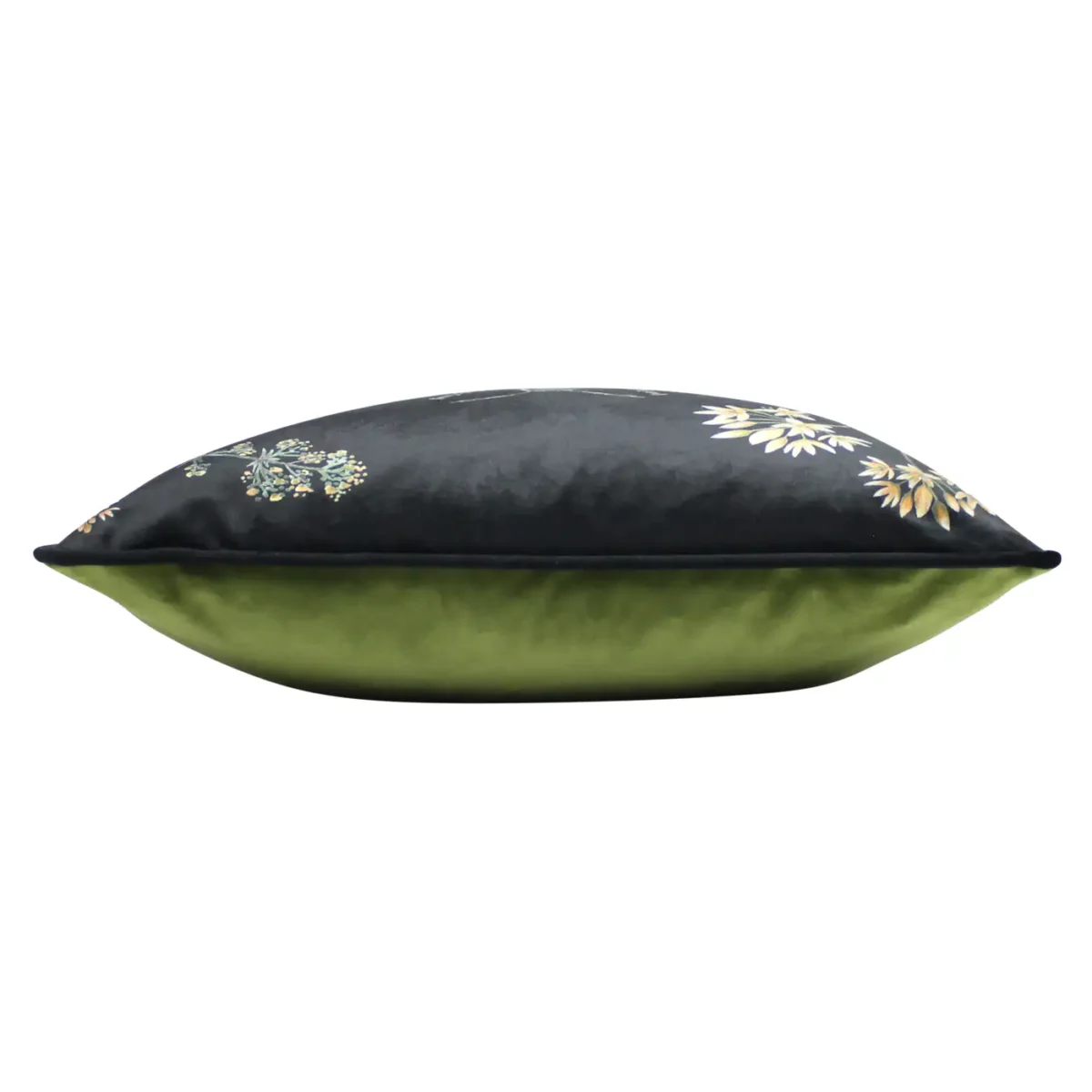 Midnight Garden Bee 43cm Cushion - Black by Midnight Garden Bee 43cm Cushion - Black from