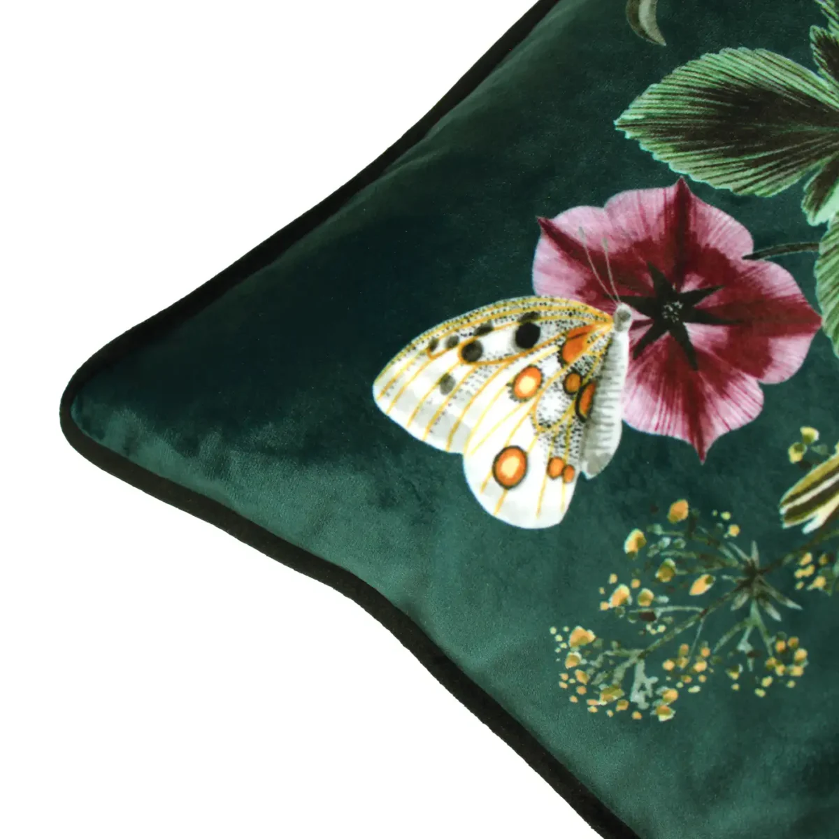 Midnight Garden Birds 43cm Cushion - Green by Midnight Garden Birds 43cm Cushion - Green from