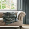 green striped cushion with sofa and window