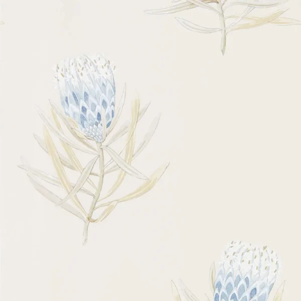 Protea Flower Wallpaper - China Blue / Canvas by blue botanical wallpaper from sanderson