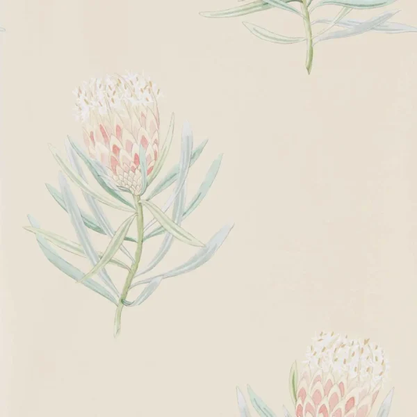 Protea Flower Wallpaper - Russet / Green by red botanical wallpaper from sanderson