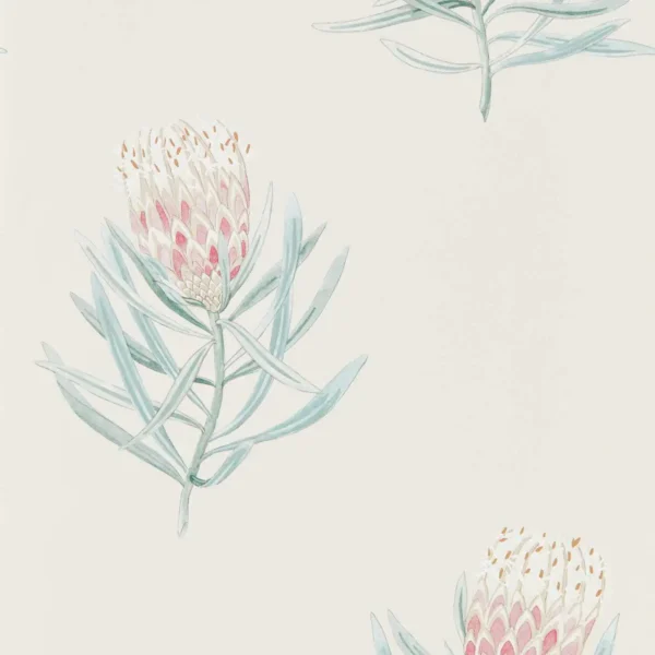 Protea Flower Wallpaper - Porcelain / Blush by red botanical wallpaper from sanderson