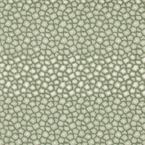 Loam Wallpaper - Evergreen by green spotted wallpaper from harlequin