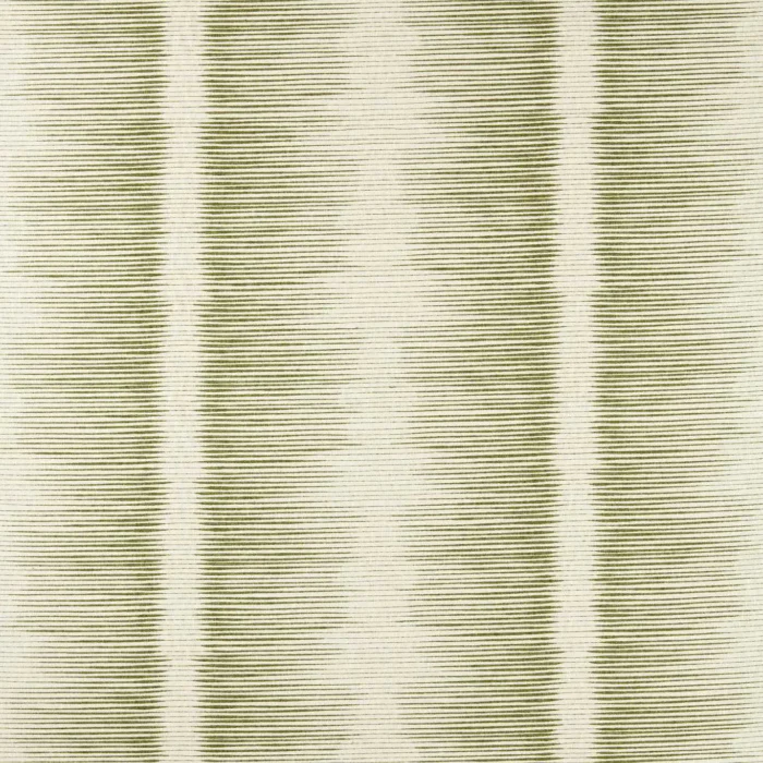 Chaco Fabric - Moss swatch