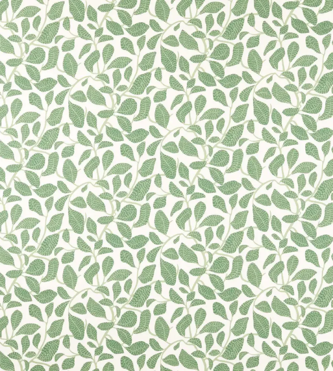 Sweet Bay Print Fabric - Forest by green botanical printed fabric from Scion
