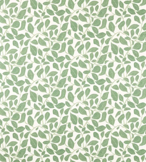 Sweet Bay Print Fabric - Forest by green botanical printed fabric from Scion