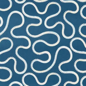 blue misc wallpaper from scion