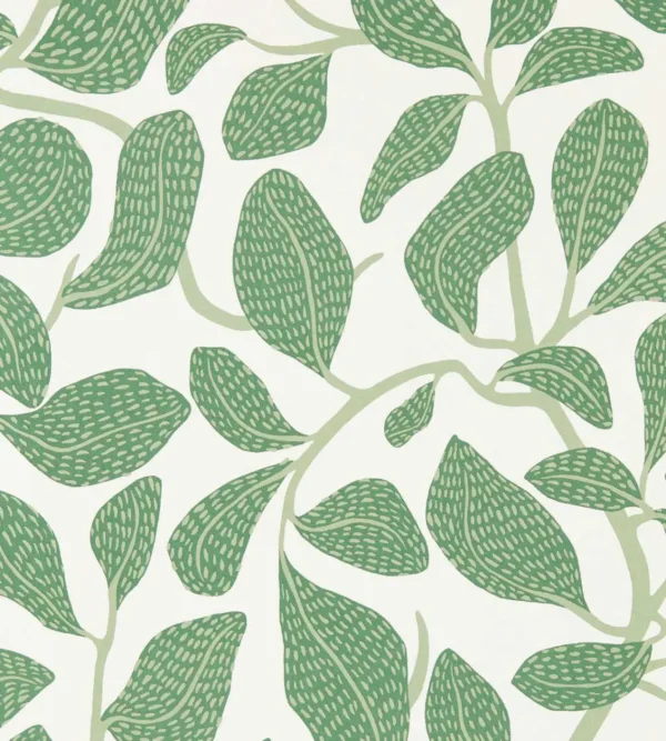 Sweet Bay Wallpaper - Forest by green botanical wallpaper from scion