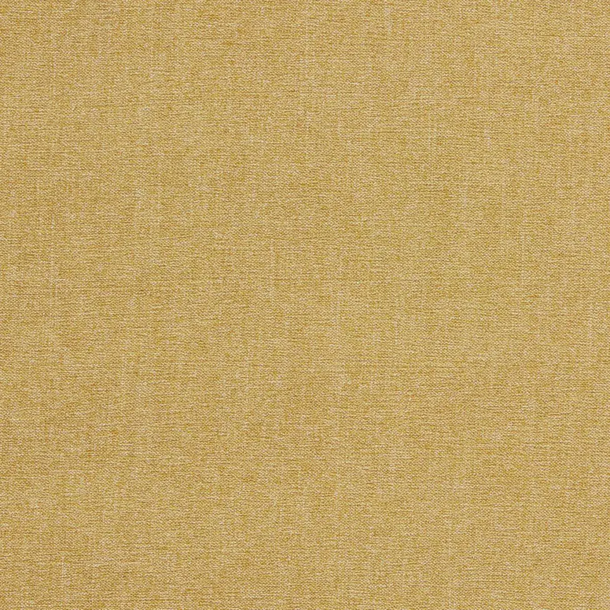 Jaipur Fabric - Antique by yellow plain velvet-chenille fabric from Clarke & Clarke