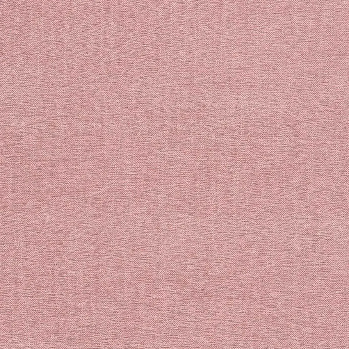 Jaipur Fabric - Blush by pink plain velvet-chenille fabric from Clarke & Clarke