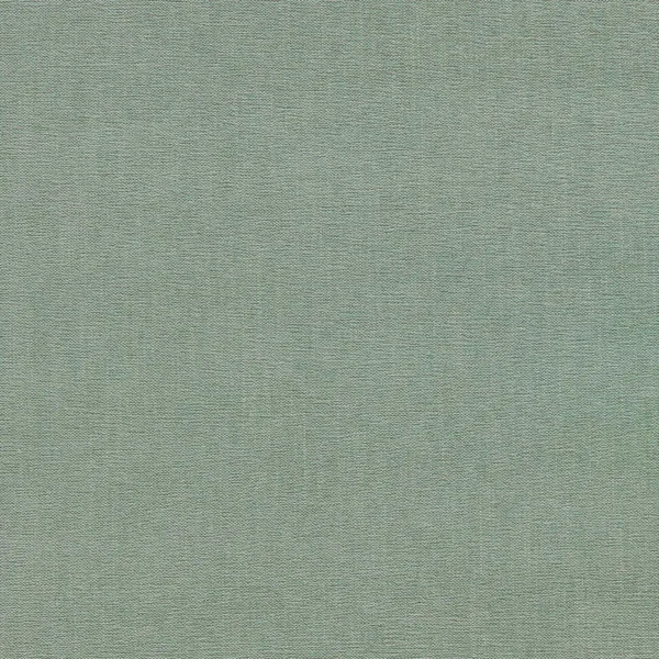 Jaipur Fabric - Celadon by green plain velvet-chenille fabric from Clarke & Clarke