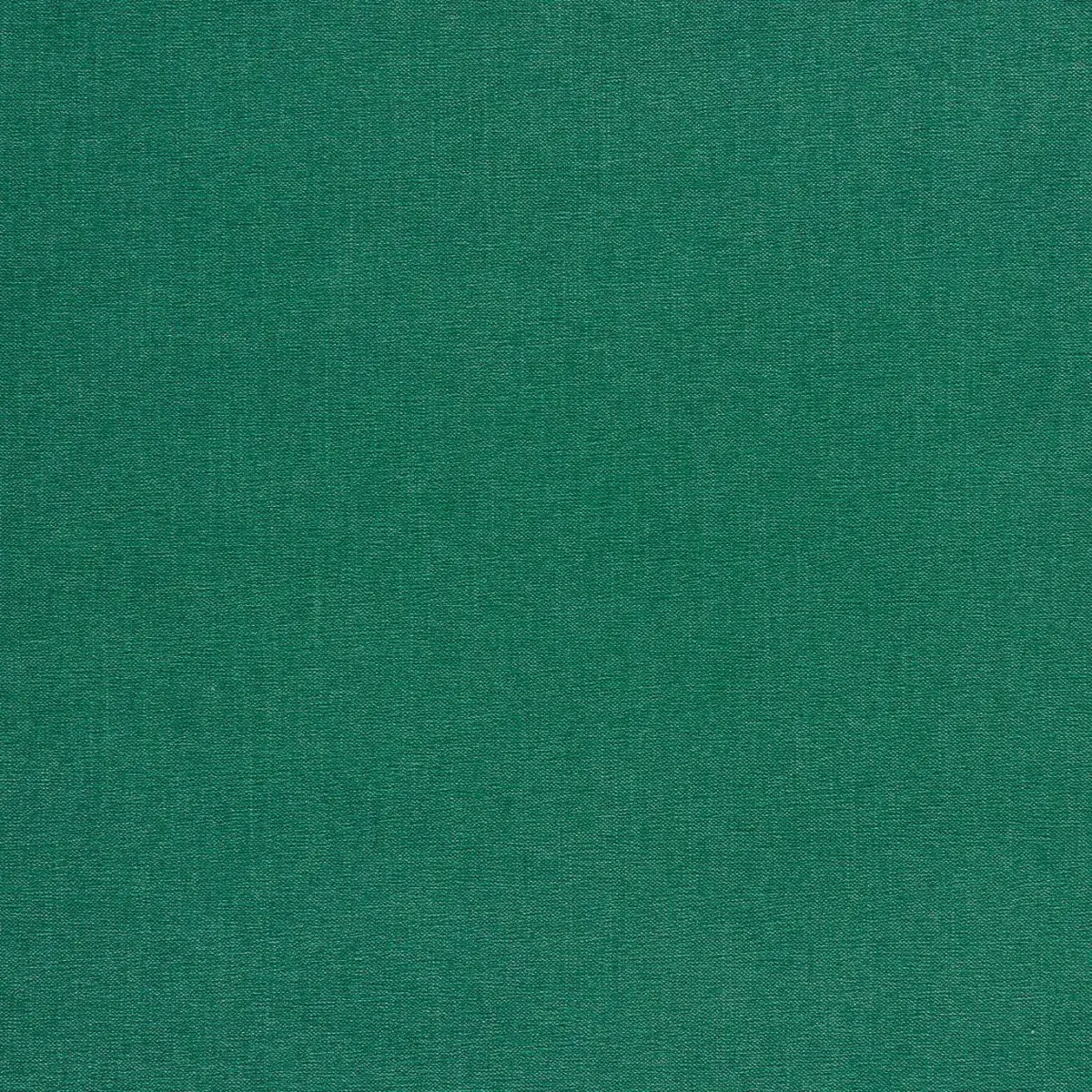 Jaipur Fabric - Emerald by green plain velvet-chenille fabric from Clarke & Clarke
