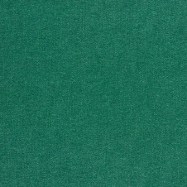 Jaipur Fabric - Emerald by green plain velvet-chenille fabric from Clarke & Clarke