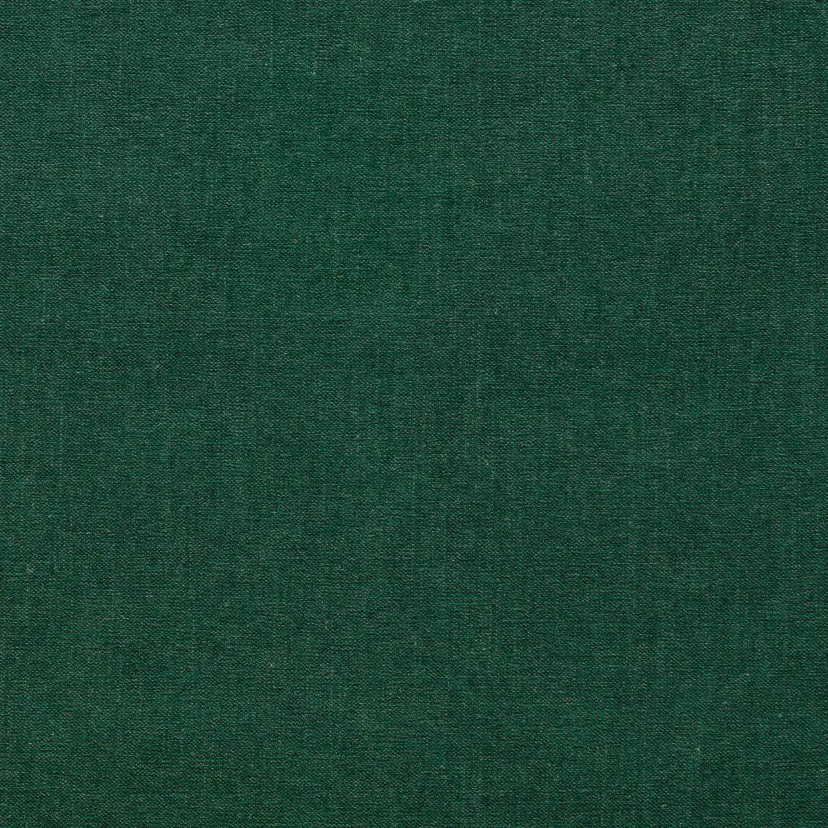 Jaipur Fabric - Forest by green plain velvet-chenille fabric from Clarke & Clarke