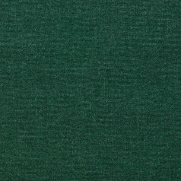 Jaipur Fabric - Forest by green plain velvet-chenille fabric from Clarke & Clarke