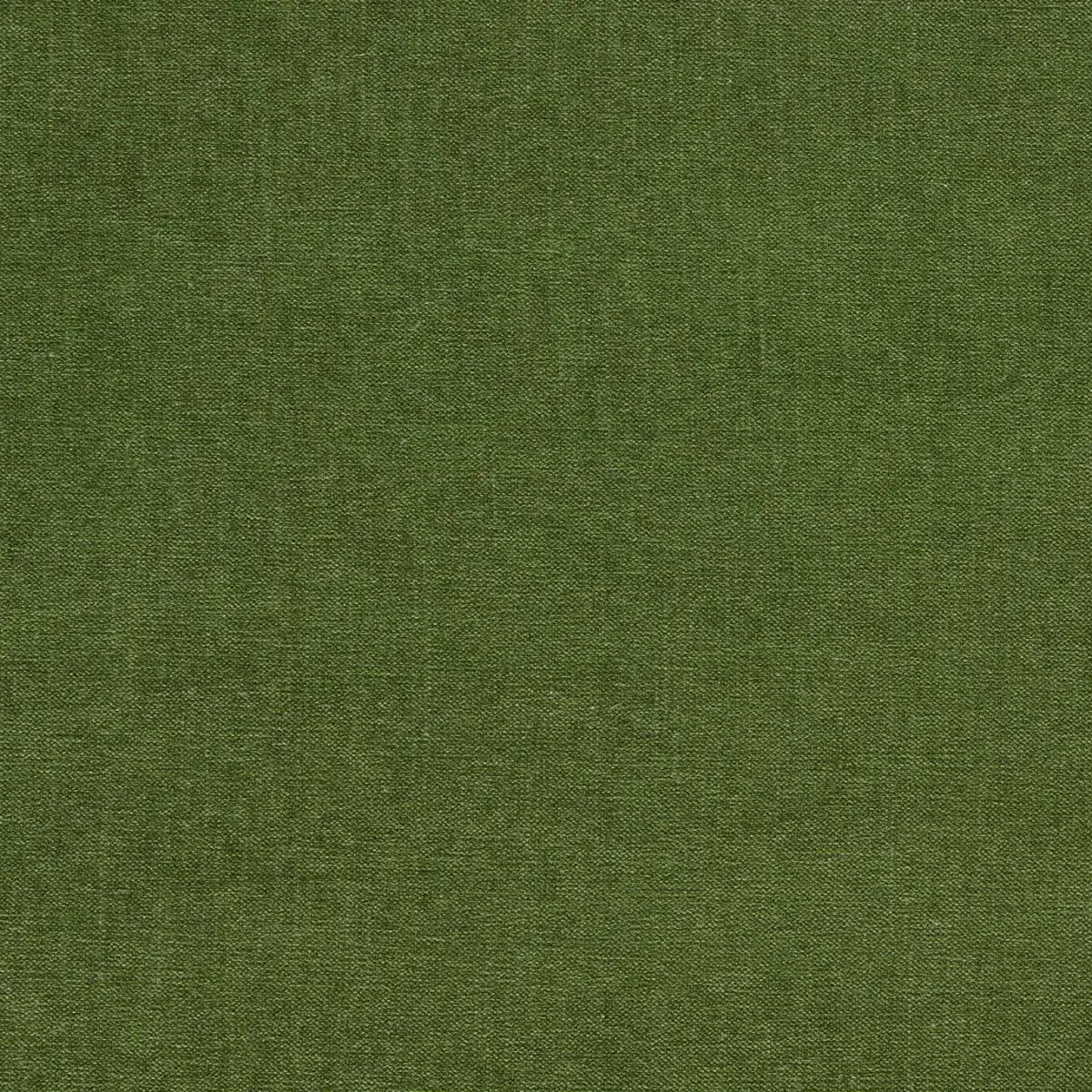 Jaipur Fabric - Herb by green plain velvet-chenille fabric from Clarke & Clarke