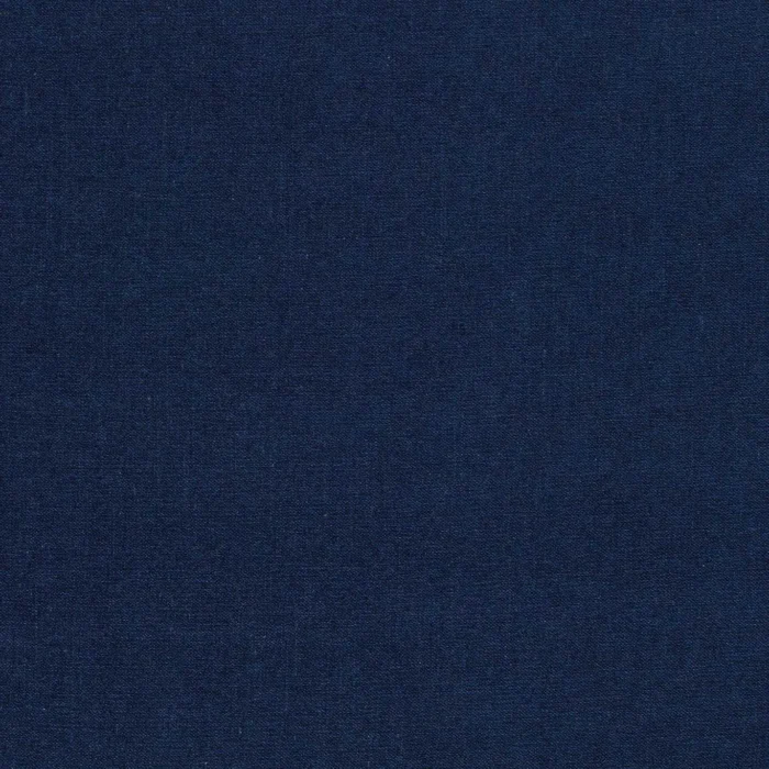 Jaipur Fabric - Ink swatch