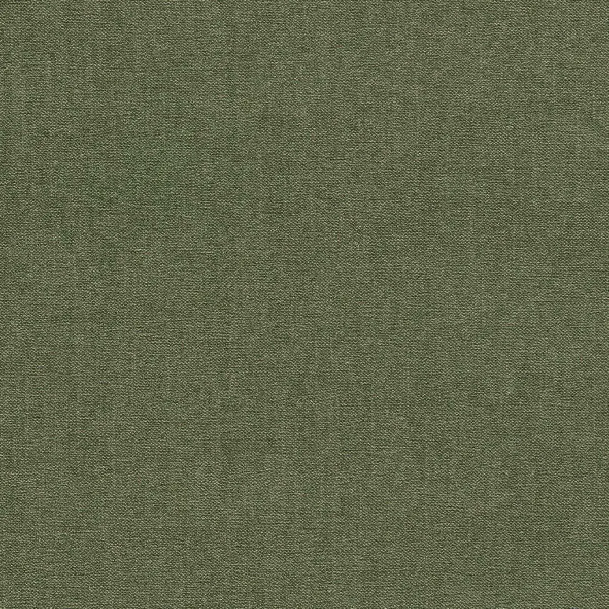 Jaipur Fabric - Moss by green plain velvet-chenille fabric from Clarke & Clarke