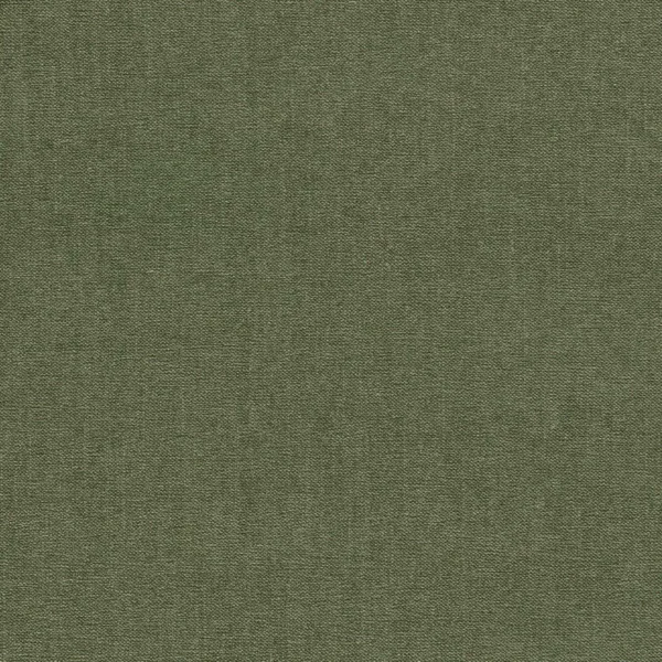 Jaipur Fabric - Moss by green plain velvet-chenille fabric from Clarke & Clarke