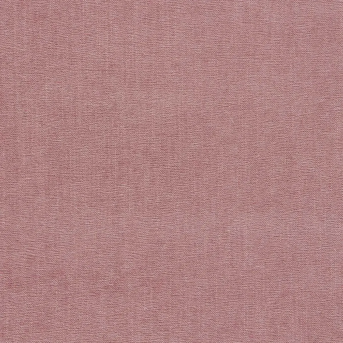 Jaipur Fabric - Rose by pink plain velvet-chenille fabric from Clarke & Clarke