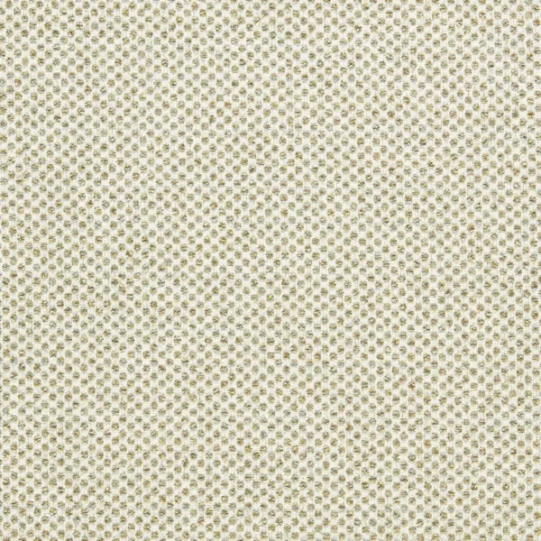 Sotano Fabric - Palm by green spotted woven fabric from Clarke & Clarke